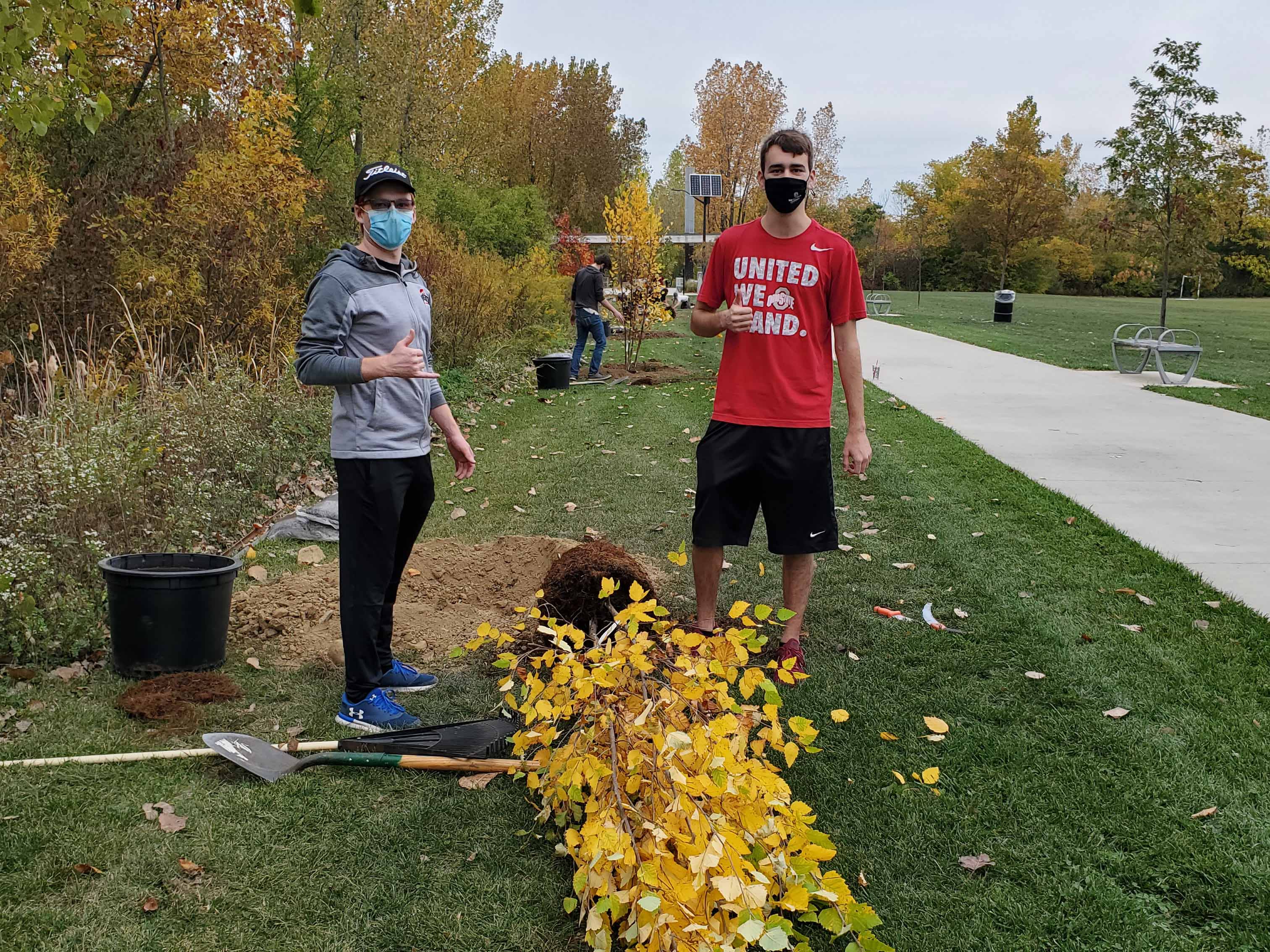 Tree Planting